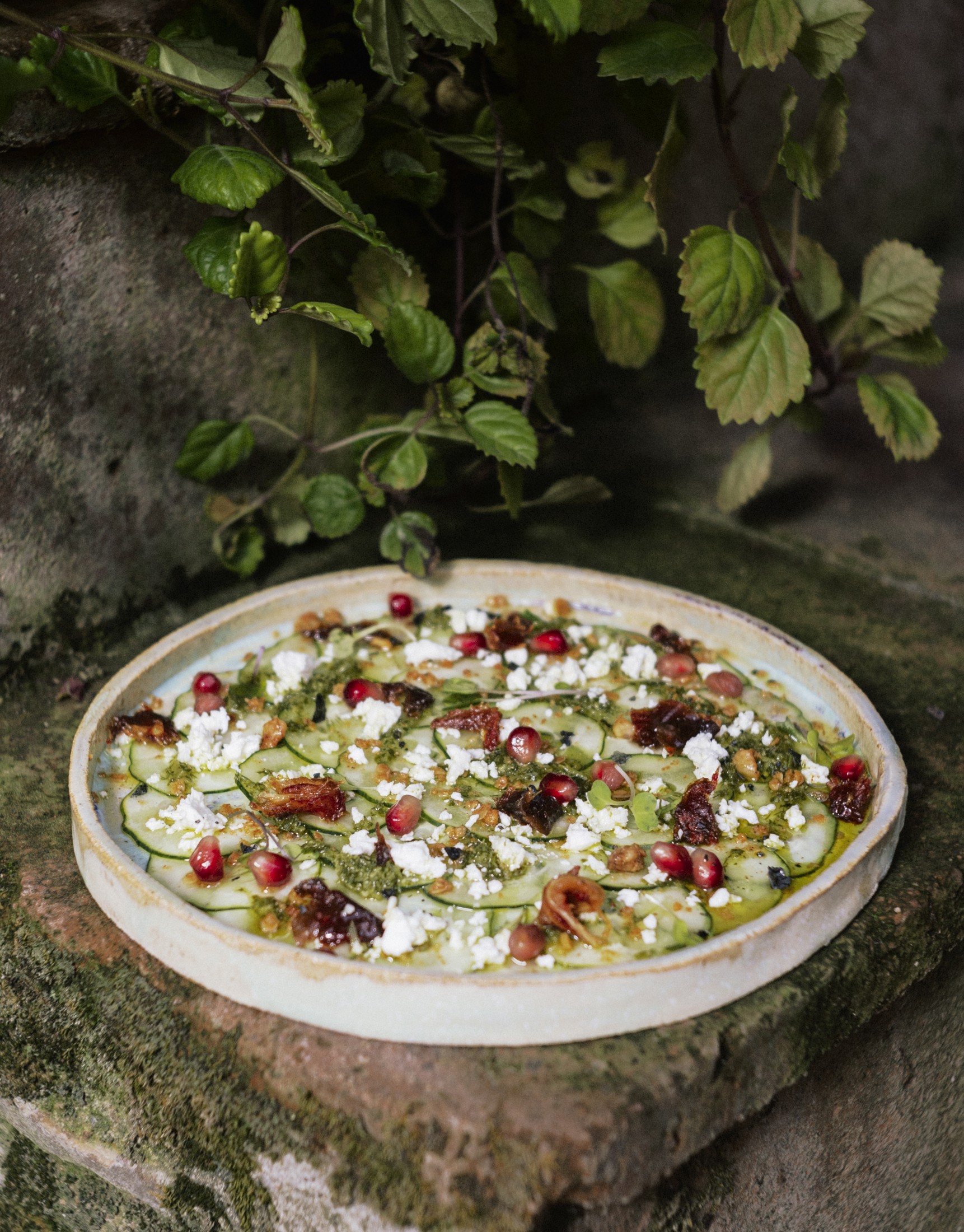 Cucumber carpaccio plated outdoors on a stone ledge, garnished with herbs and pomegranate