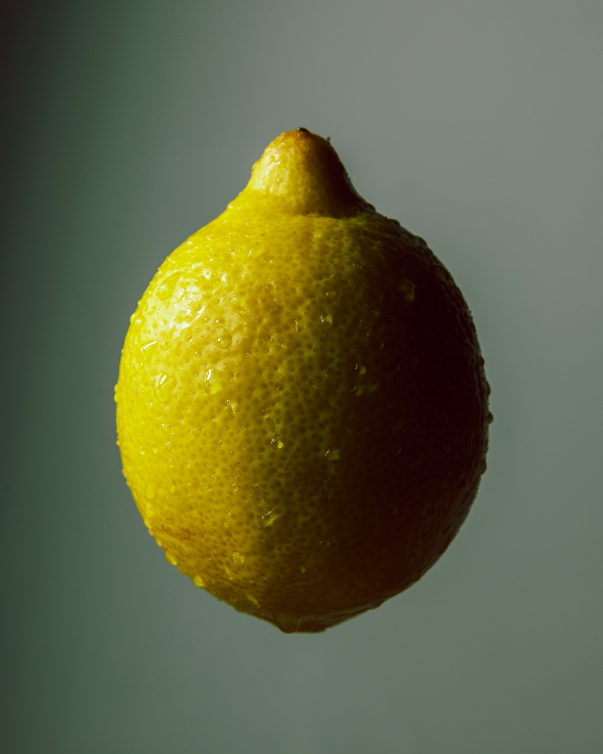 Close-up of a fresh lemon, shot by Zesty Bev Inc.