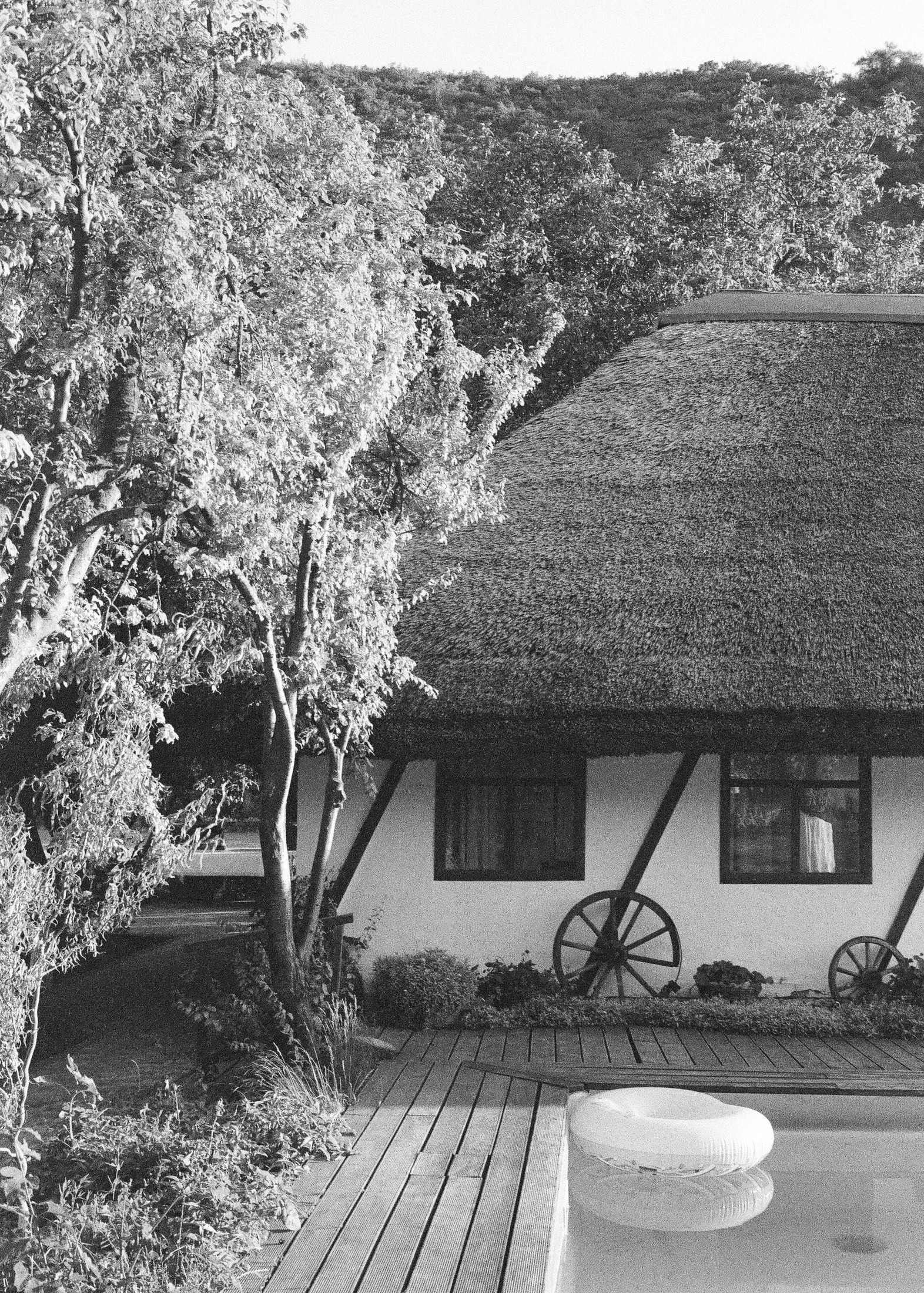 Black-and-white shot of a thatched-roof cottage with a garden