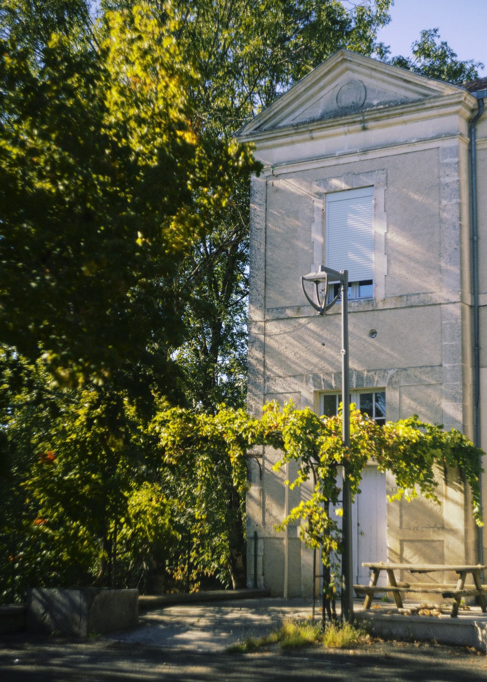 Looking up through autumn leaves at a building facade