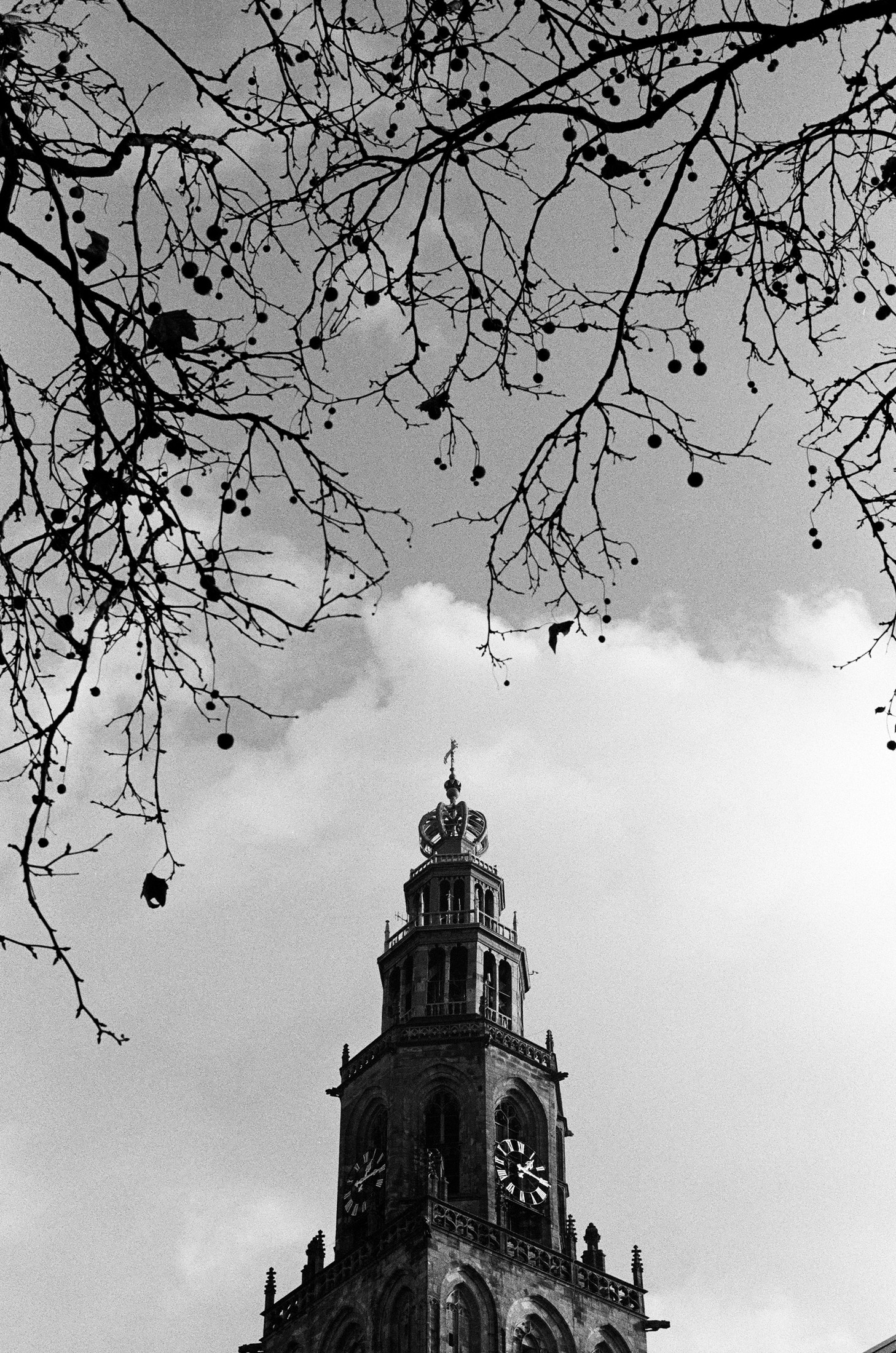 Black-and-white shot of bare tree branches against the sky with a church spire